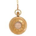 Classic Antique Finish Gold Half Hunter Pocket Watch