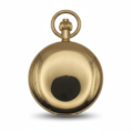 Gold Victorian Sphere Double Hunter Fob Watch
